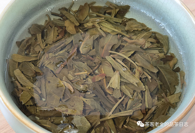 茶人壹树叶临茶风华普洱茶