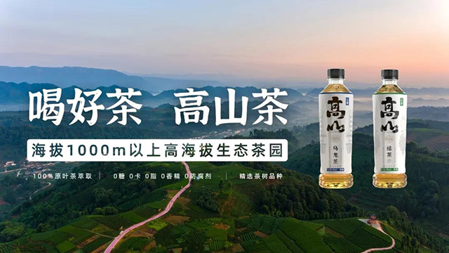 高山绿茶