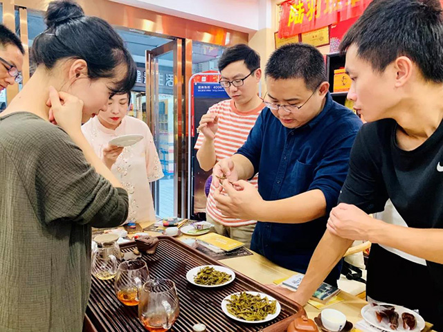 润元昌陆羽班章普洱茶品鉴会