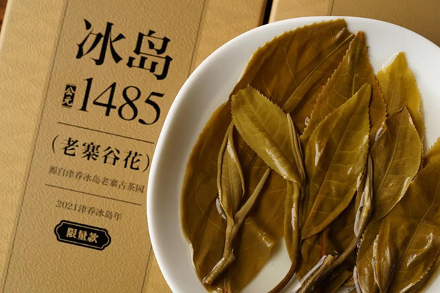 津乔普洱茶