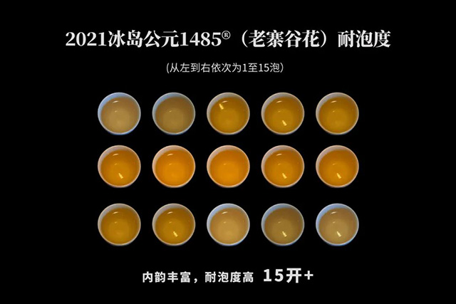 津乔普洱冰岛公元1485老寨谷花
