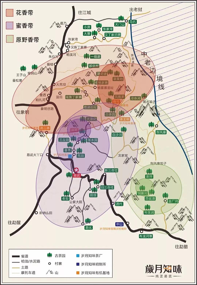 岁月知味易武茶