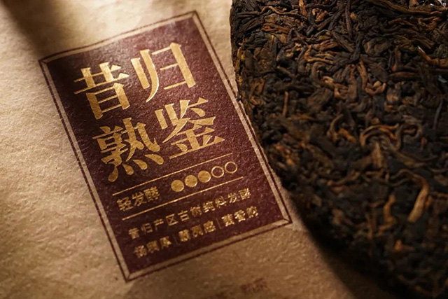 津乔普洱