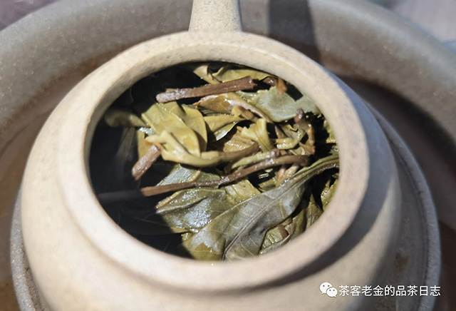 困鹿山中叶种普洱茶