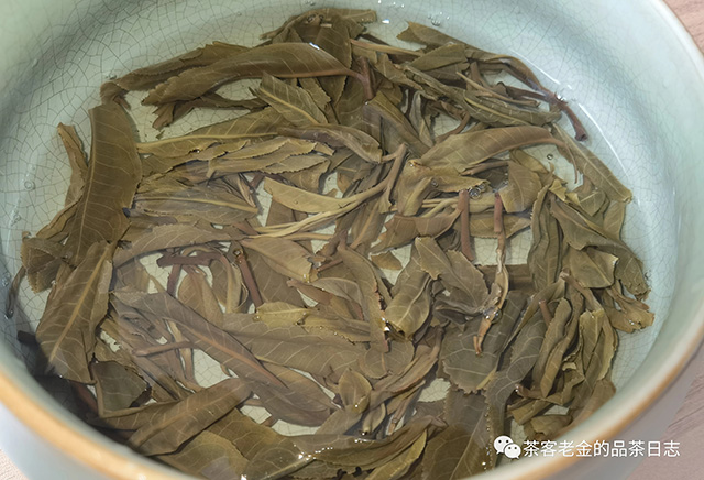 困鹿山中叶种普洱茶