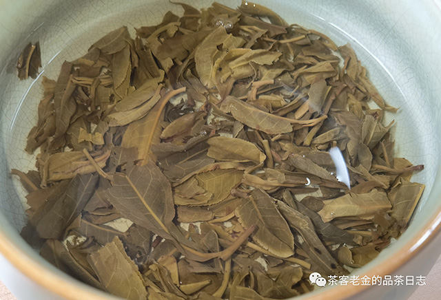 苦行茶僧2021年茶后单株普洱茶