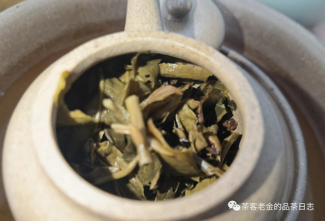 苦行茶僧2021年茶后单株普洱茶