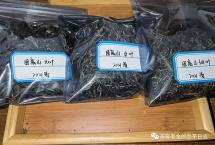 困鹿山细叶种普洱茶品质特点怎么样？