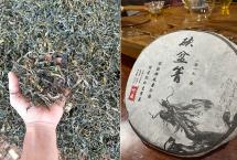 2024年砍盆箐古树小饼品鉴：兰香蜜韵很实在，但还欠一点火候