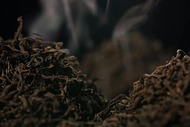 津乔普洱熟茶