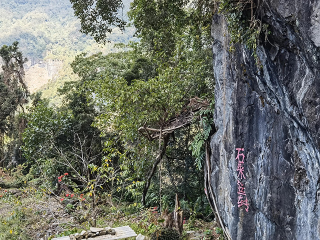 老包说茶石破天裂石