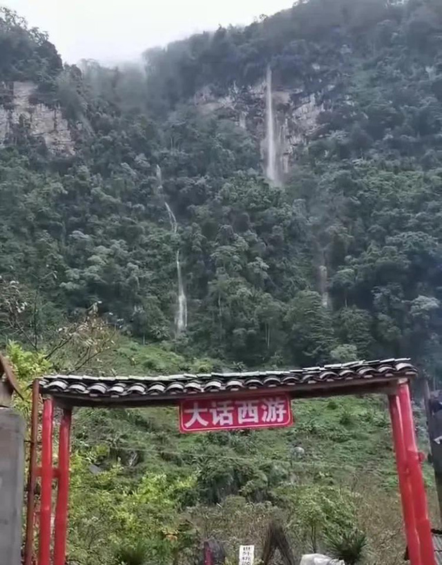 老包说茶逍遥峰