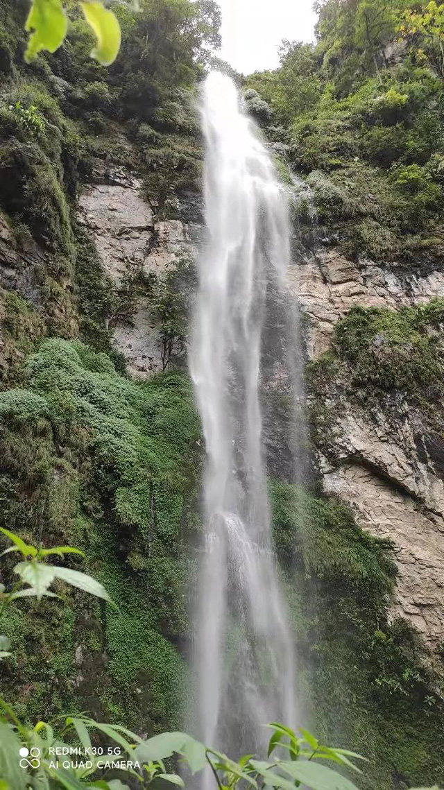 老包说茶十月的飚水岩