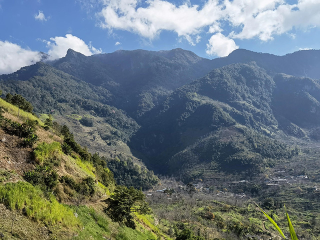 老包说茶老虎山远景