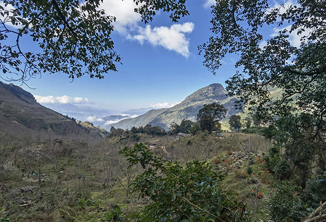 老包说茶落水洞人家