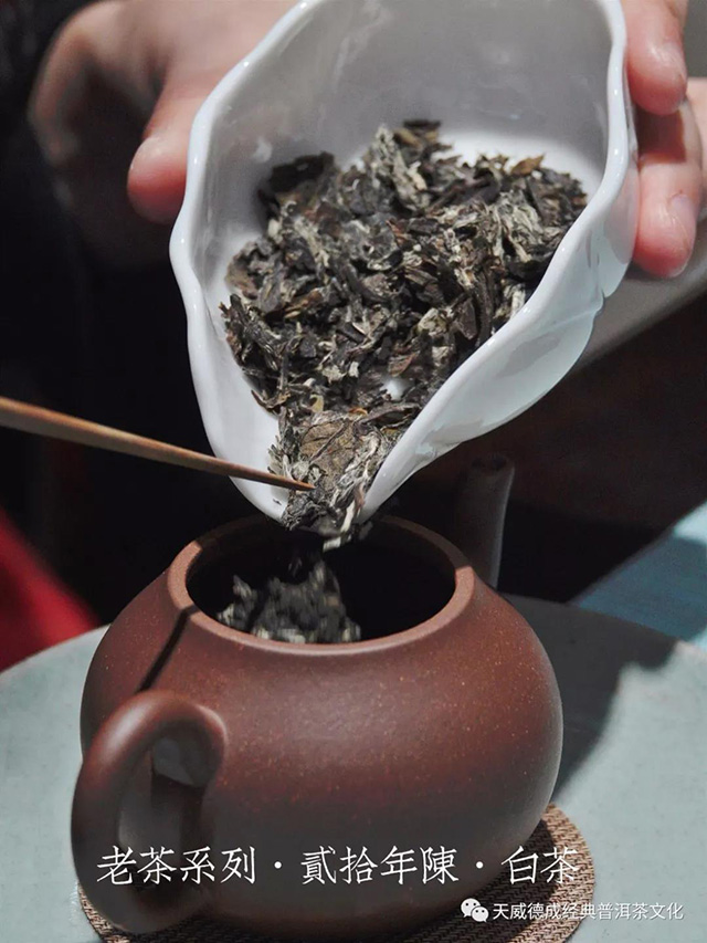 云南堂7562熟砖迎新春优惠活动今日开启
