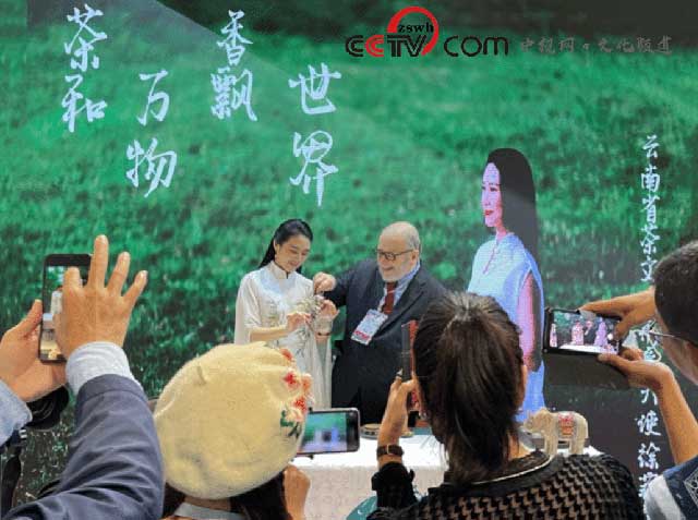 云南省茶文化形象大使徐菲尔原创作品茶和万物展演中