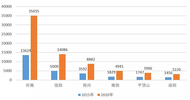 河南省及涉茶企业前五名城市发展比对图