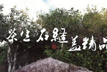 迎新年，开仓放茶：2012年·云南岩茶，1月1日午12时，限量优惠