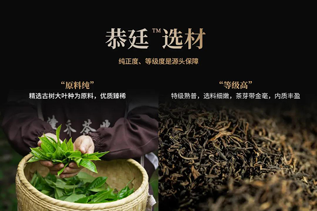 津乔茶礼典范恭廷普洱熟茶