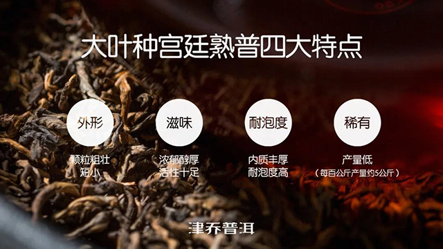 津乔茶礼典范恭廷普洱熟茶