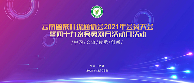 云南省档案馆品牌普洱茶实物档案中茶普洱产品