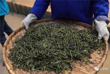 兴茶网：茶行业的新机遇与新挑战在哪里？