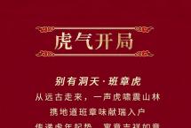 2022年今大福别有洞天班章虎饼怎么样？