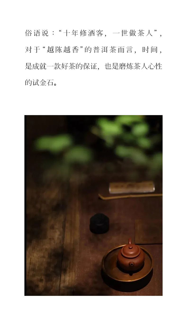 双陈2022虎年生肖茶虎饼普洱茶