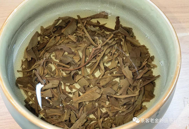 陈年易武刮风寨茶王树普洱茶