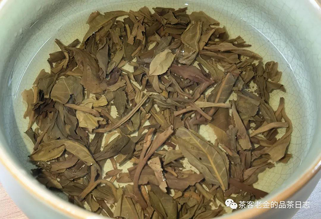 陈年易武刮风寨茶王树普洱茶