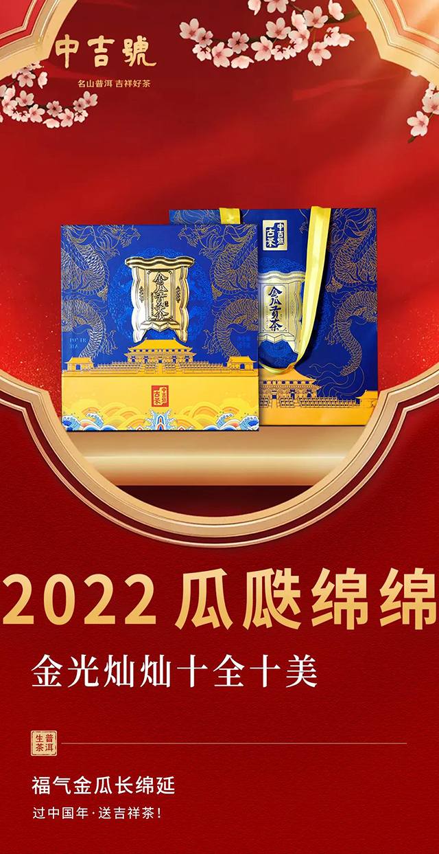 中吉号2021金瓜贡茶