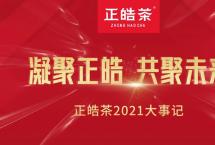 正皓茶2021年大事记回顾：厚积薄发，向新而行