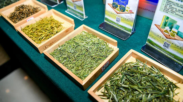第十届贵州茶业经济年会大会现场产品展示