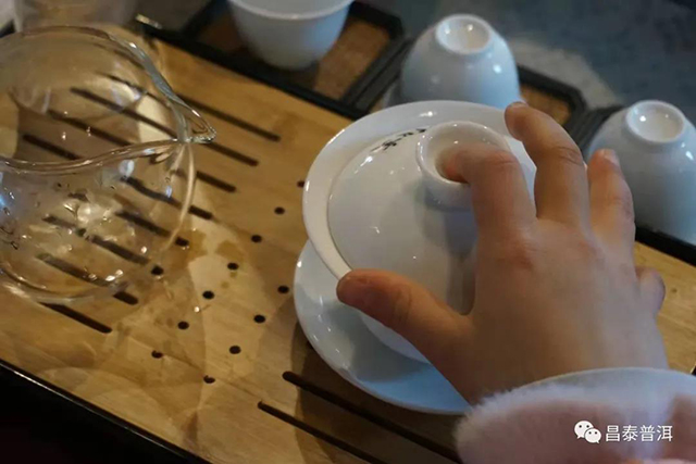 昌泰普洱亲子茶会