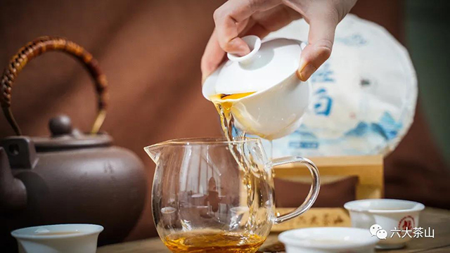 六大茶山2021年风轻云白白茶