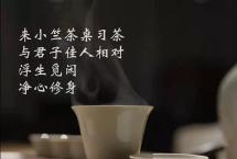 介绍几个“茶名”「小竺茶桌」