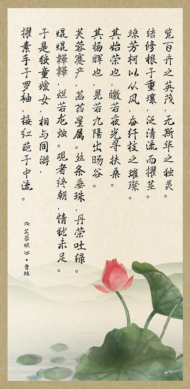 双陈莲饼普洱茶