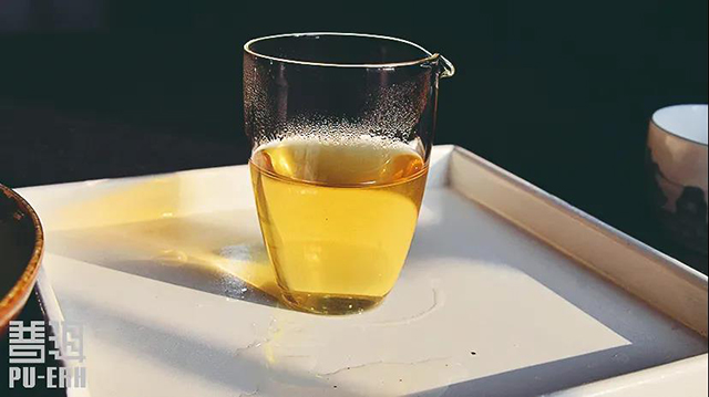 闽南乌龙永春水仙寻茶记