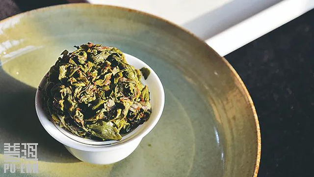 闽南乌龙永春水仙寻茶记