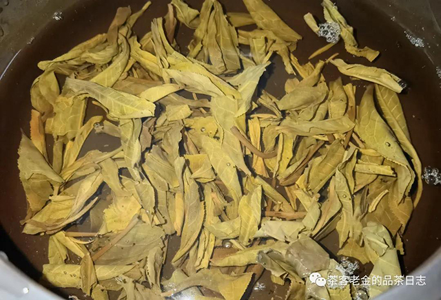 晓茶2021年大又粗普洱茶