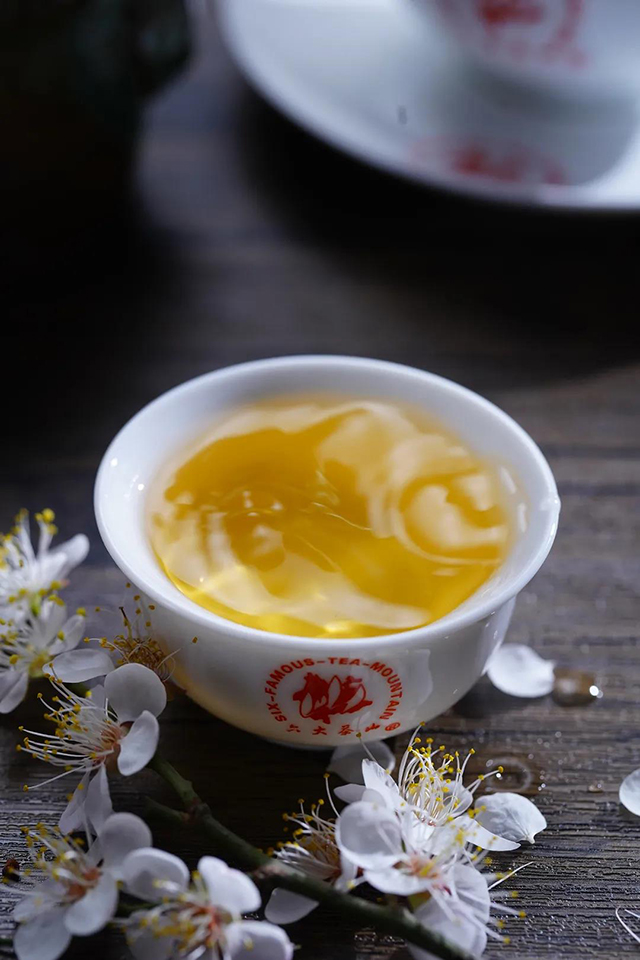 六大茶山普洱茶