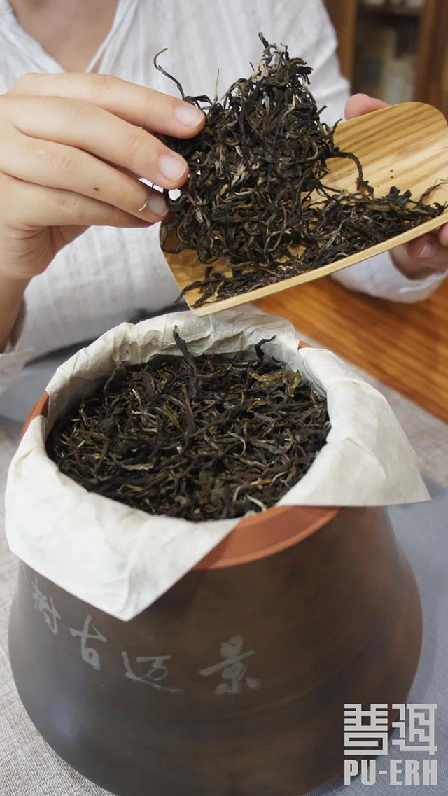 普洱茶紫陶罐