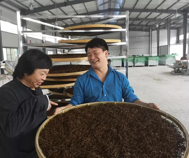中华合作时报茶周刊