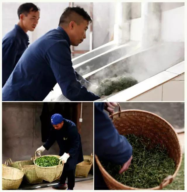 荣瑞祥普洱茶