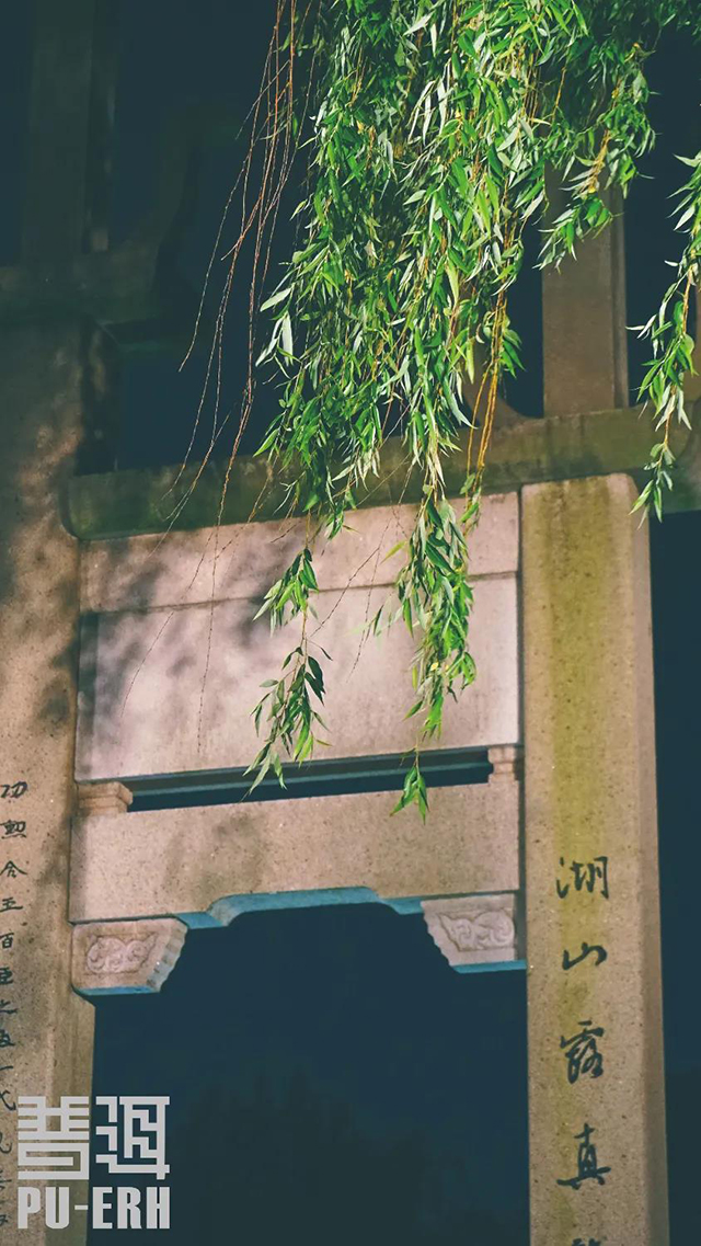 普洱杂志