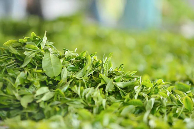 荣瑞祥茶业