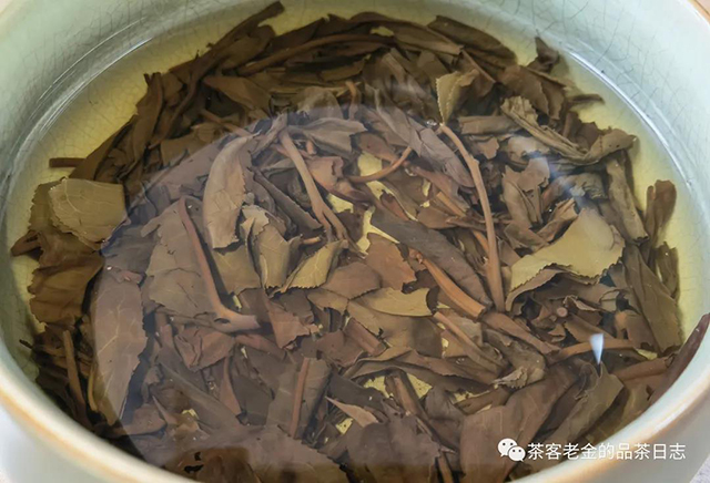 吾茶共饮98年易武大茶柱普洱茶
