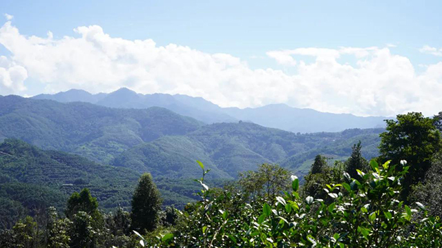 昔归茶山远眺