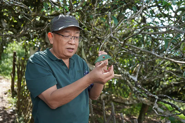 带领我们考察的鲁建旭老师